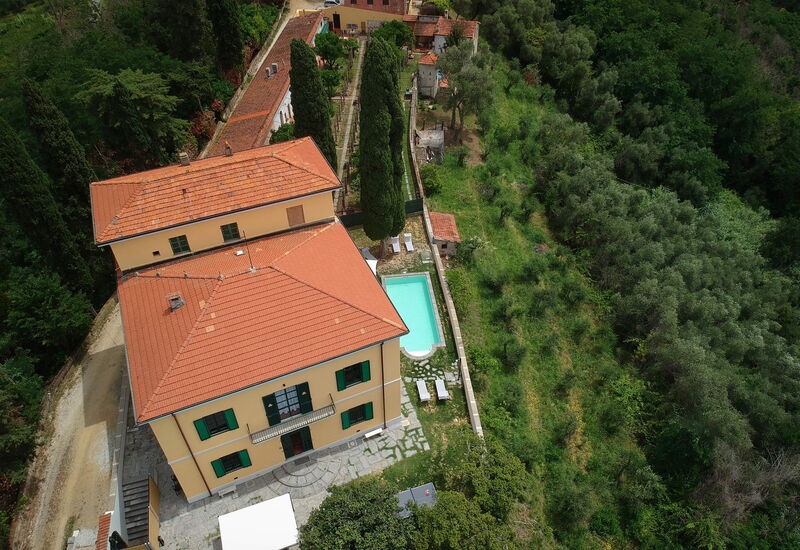 Massarosa Front Lake, The Gargoyles: Autumn, Building Exterior, Spring, Summer