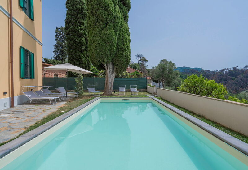 Massarosa Front Lake, The Gargoyles: Amenities, Autumn, Building Exterior, Pool, Spring, Summer