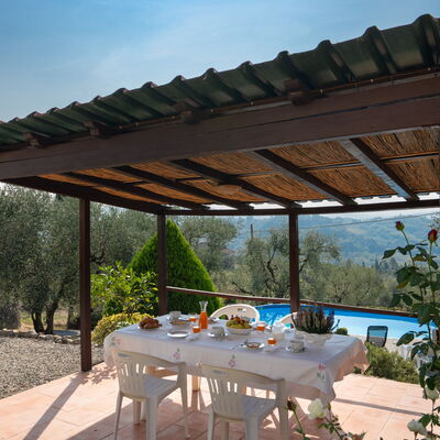 Casa Mony: all'aperto, Autunno, Estate, Esterni, Giardino, Piscina, Primavera