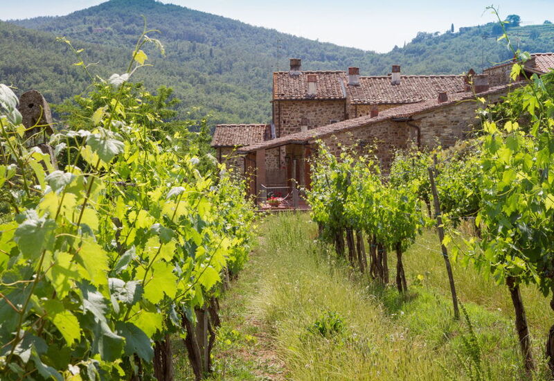 Le Masse - Greve In Chianti, Toscana: Autumn, Building Exterior, Spring, Summer