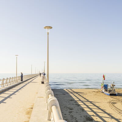 Villa Le Fontanelle In Forte Dei Marmi With Ac: Autunno, Estate, Esterni, Primavera