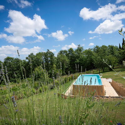 Vineyard’s Cottage With Pool, Ac, Wifi - Siena: Autumn, Garden, Spring, Summer