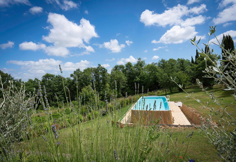 Vineyard’s Cottage With Pool, Ac, Wifi - Siena: Autumn, Garden, Spring, Summer