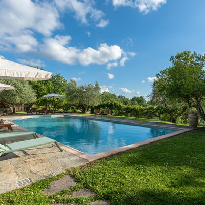 A Casa Dell'ida: all'aperto, Estate, Esterni, Giardino, Piscina