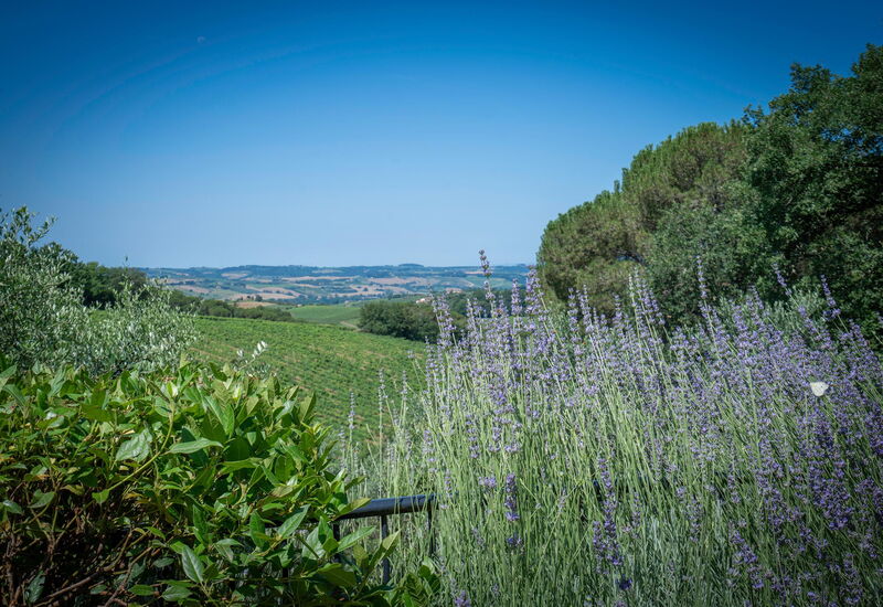 Chianti Hills Apartment, Pool, Ac: Autunno, Estate, Primavera, Vista Panoramica