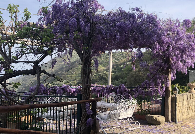 San Noto House With Pool Ac Wifi: Autumn, Garden, Spring, Summer