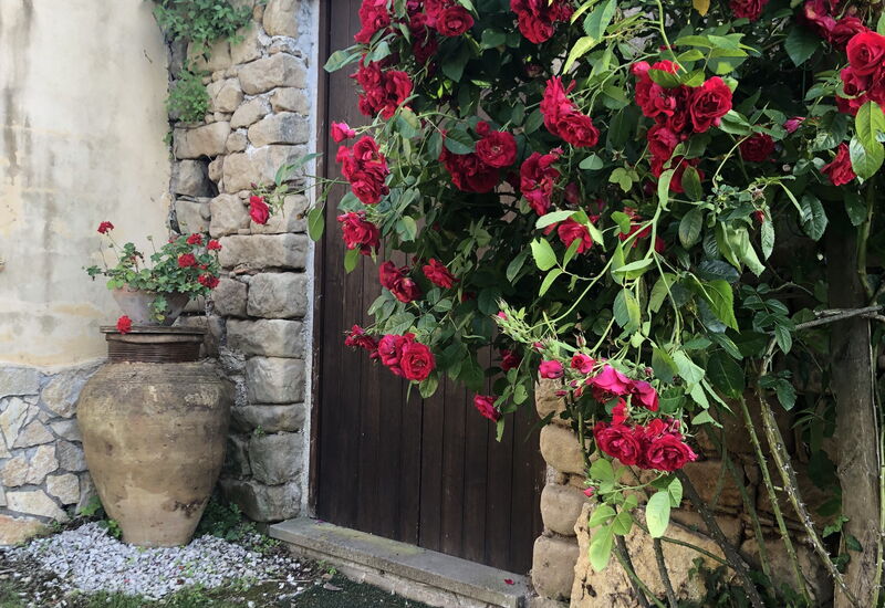 San Noto House With Pool Ac Wifi: Frühling, Garten, Herbst, Sommer