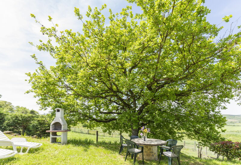 Marcigliana Cottage, Pool, Radicondoli: Frühling, Garten, Herbst, Sommer